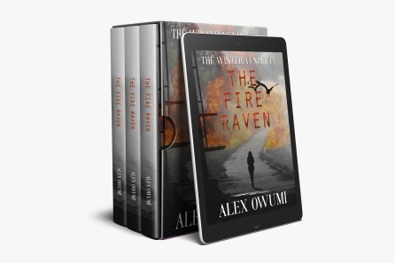 024-6x9-box-set-with-Ereader-psd-template-mockup-COVERVAULT[2]