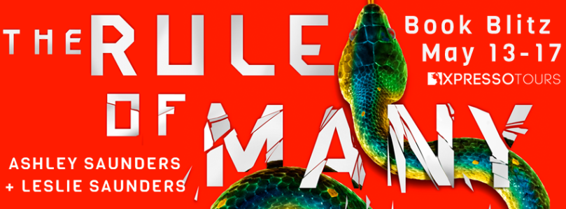 TheRuleOfManyBlitzBanner